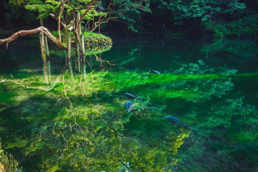 请问植村秀卸妆油好不好呀？游戏画面